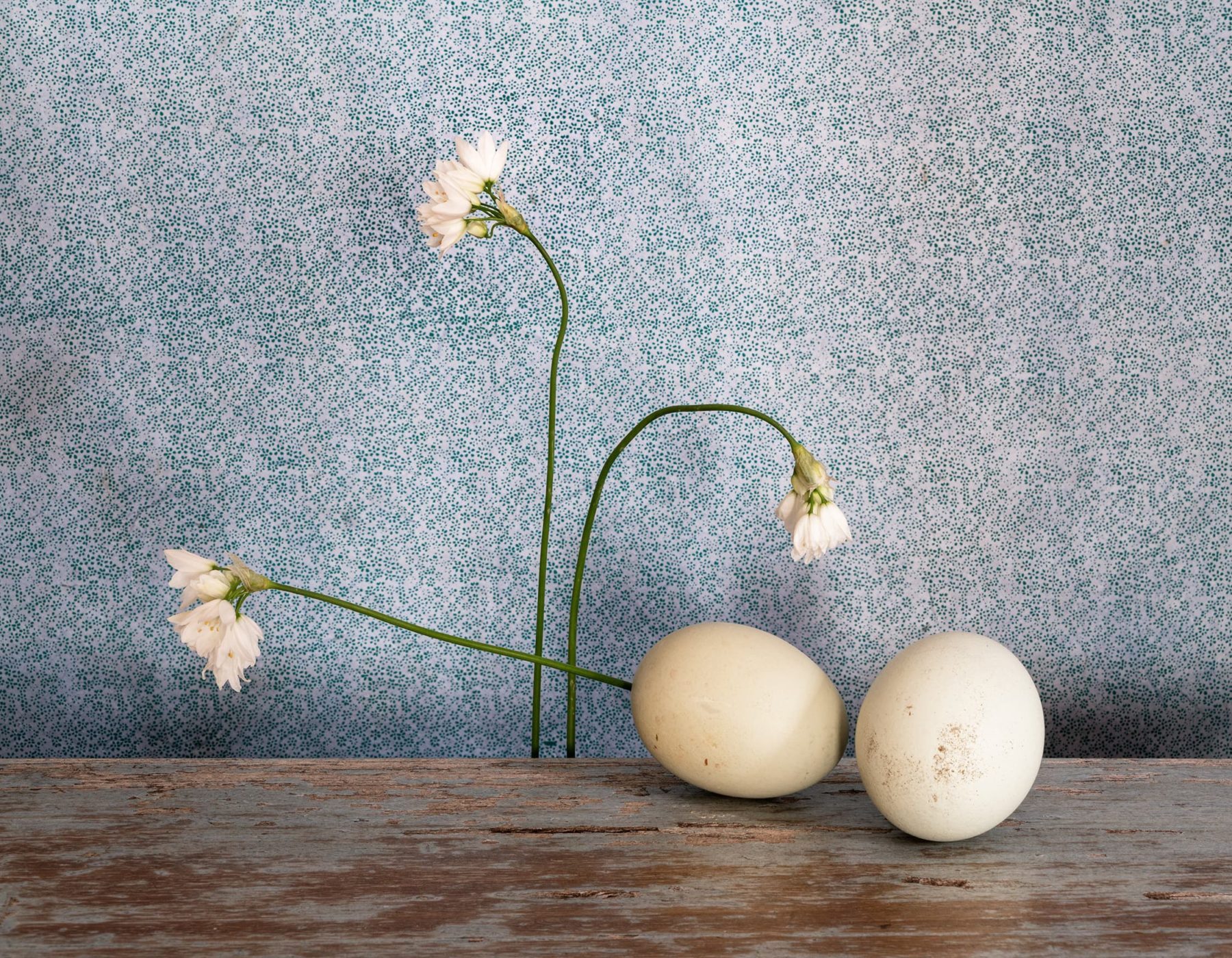 Zwei Hühnereier und drei Blütenstengel der Knoblauchpflanze auf einem Holzbrett vor einer Blütentapete