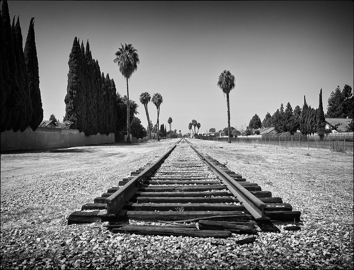 Schwarz-weiß Fotografie mit Blick auf eine verlassene und verfallene Eisenbahnschiene, im Hintergrund sieht man Palmen und Zypressen.