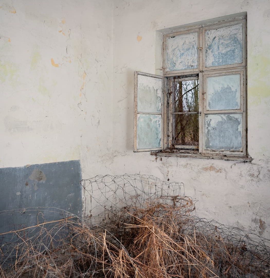 Blick in einen Raum in einem verlassenen Kasernengebäude- Man sieht ein offenes Fenster und auf dem Boden vertrocknetes Gewächs.