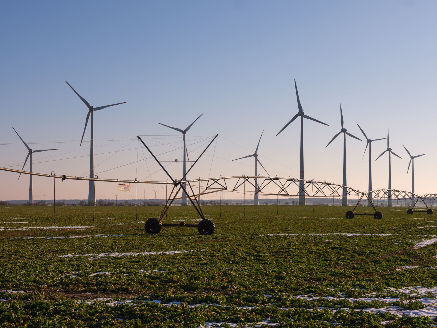 Windräder auf einem Feld.