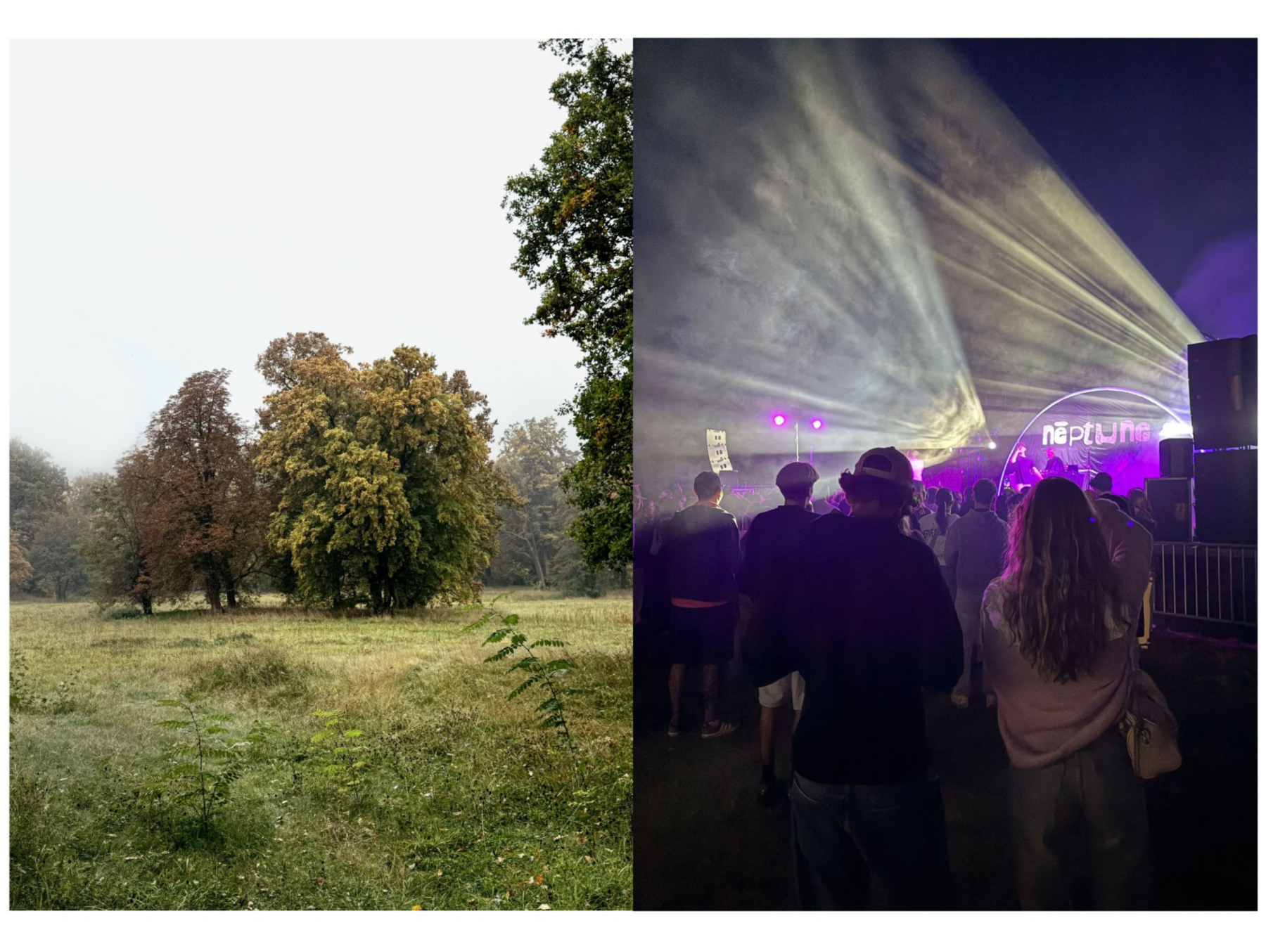 Auf der linken Seite ist eine Wiese, auf der rechten Seite ein Festival zu sehen.