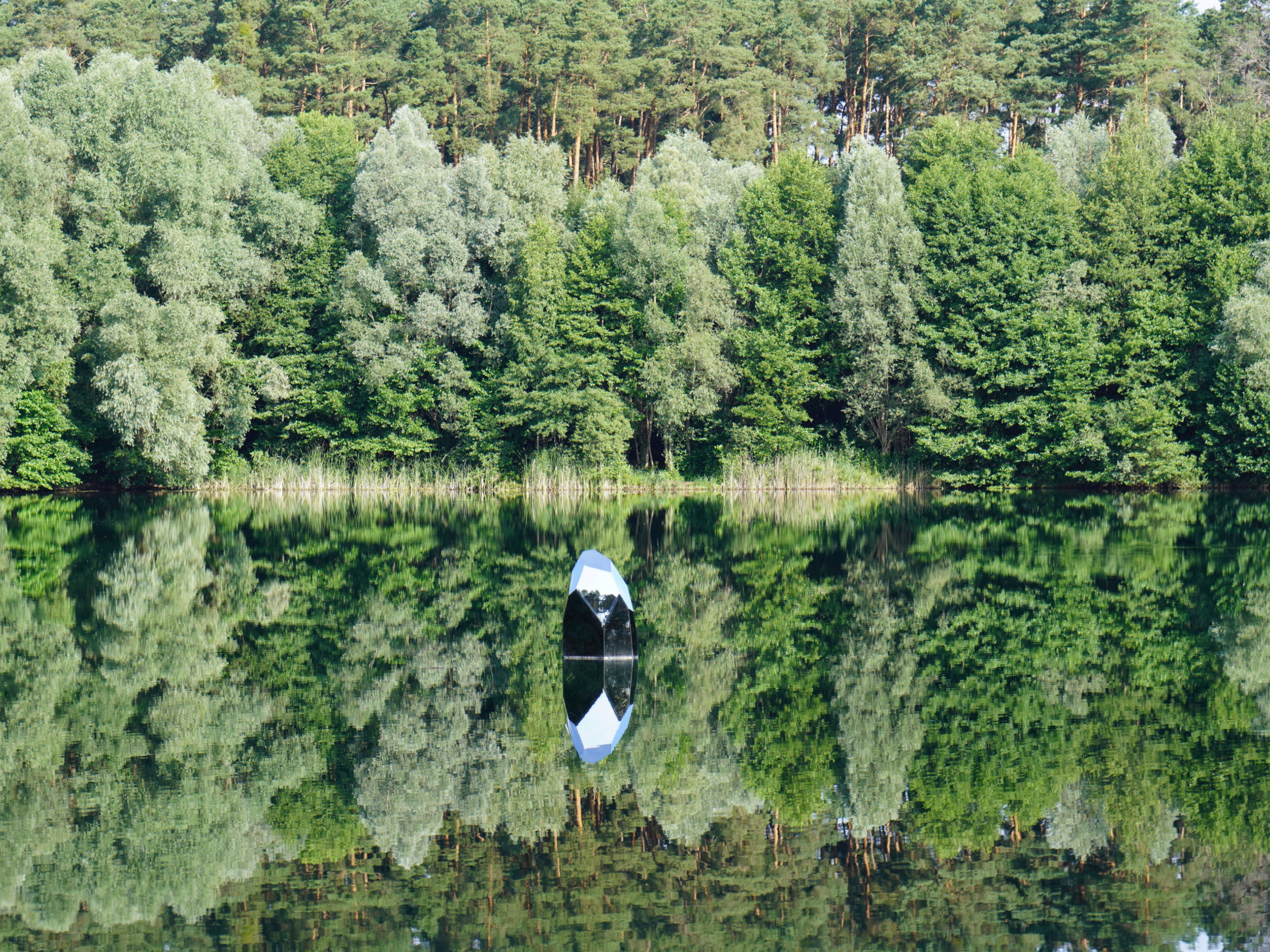 Ein Diamant schwimmt auf einem Waldsee, im Hintergrund sieht man den Wald.