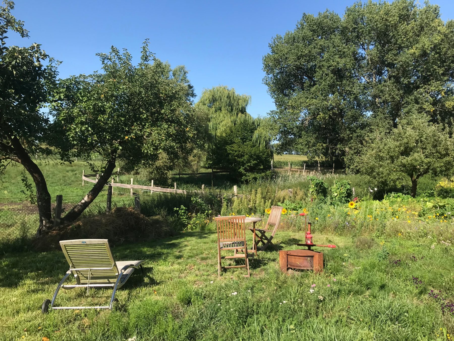 Gartenstühle und ein Liegestühl stehen in einer grünen Landschaft mit Obstbäumen